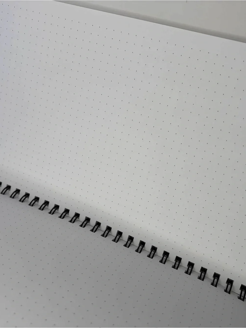 📚 3/$15 - Rogue + Wolf Nevermore Raven Skull Spiral Dot Grid Notebook Gothic